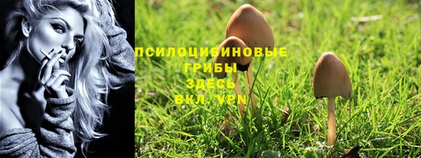 прущие крисы Бородино
