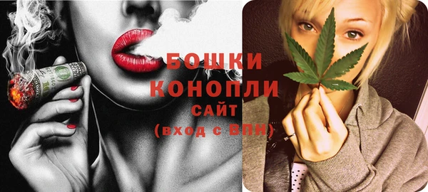 стаф Бронницы