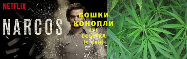 прущие крисы Бородино
