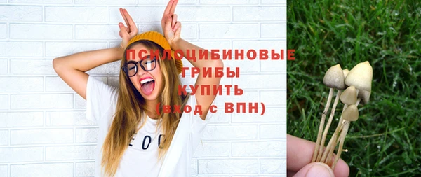 прущие крисы Бородино